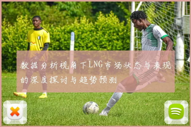 数据分析视角下LNG市场状态与表现的深度探讨与趋势预测