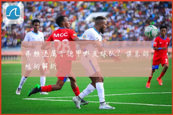 弗赖堡属于德甲哪支球队？俱乐部结构解析