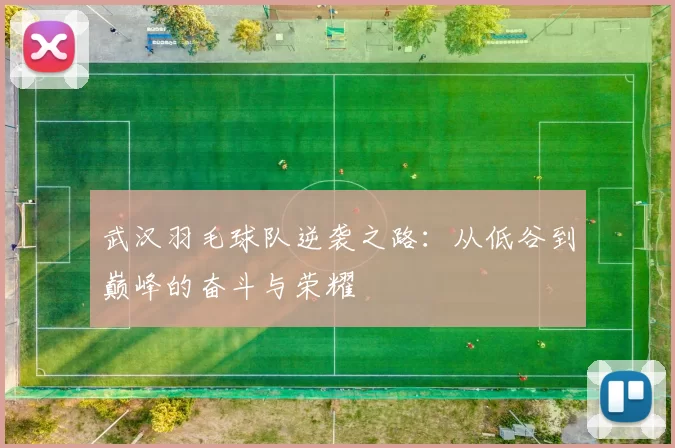 武汉羽毛球队逆袭之路：从低谷到巅峰的奋斗与荣耀