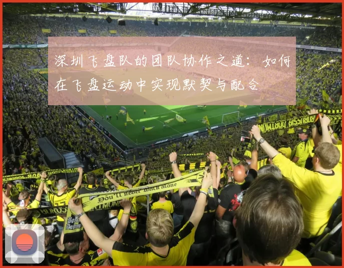 深圳飞盘队的团队协作之道：如何在飞盘运动中实现默契与配合