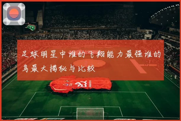 足球明星中谁的飞翔能力最强谁的鸟最大揭秘与比较