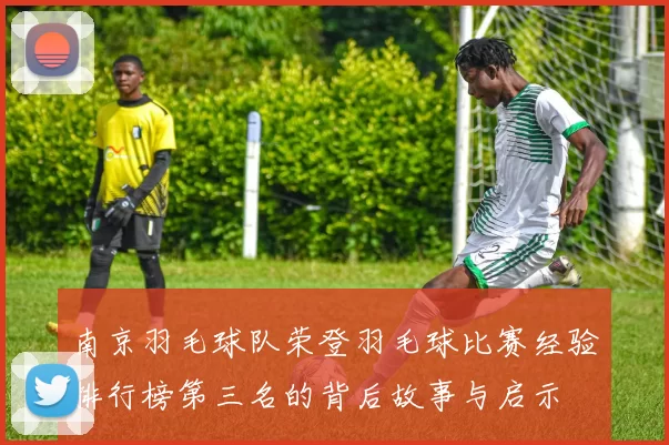 南京羽毛球队荣登羽毛球比赛经验排行榜第三名的背后故事与启示