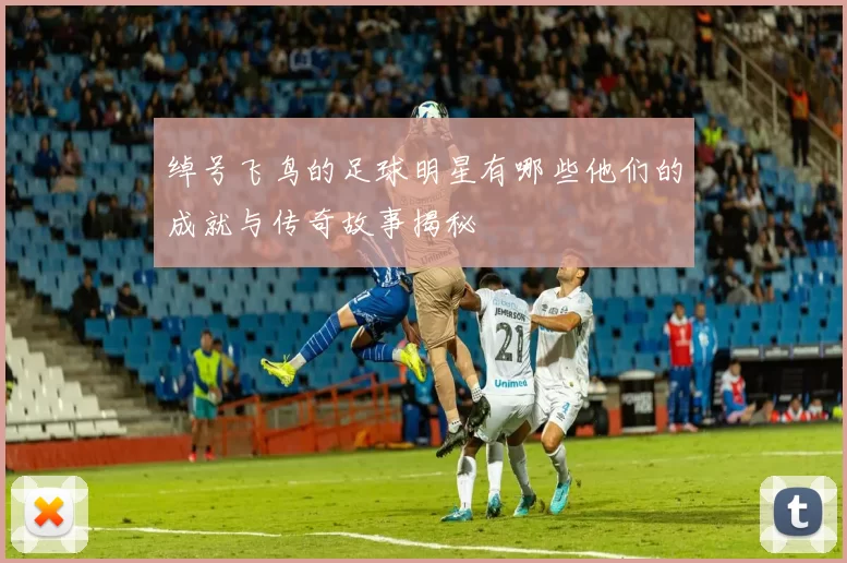 绰号飞鸟的足球明星有哪些他们的成就与传奇故事揭秘