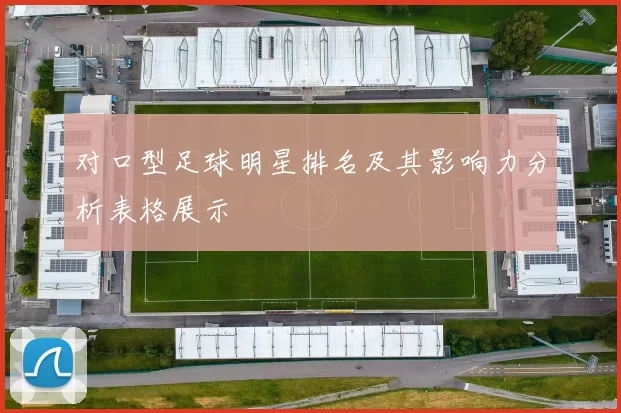 对口型足球明星排名及其影响力分析表格展示