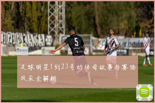 足球明星1到23号的传奇故事与赛场风采全解析