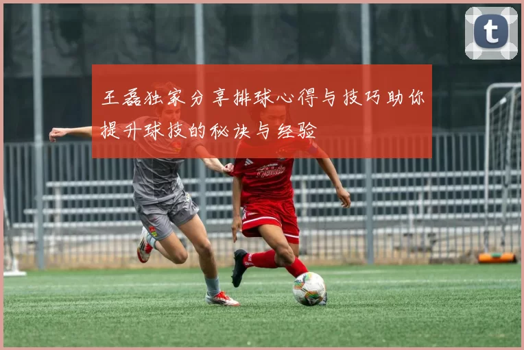 王磊独家分享排球心得与技巧助你提升球技的秘诀与经验