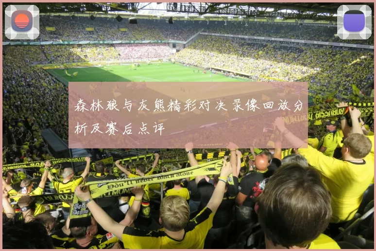 森林狼与灰熊精彩对决录像回放分析及赛后点评