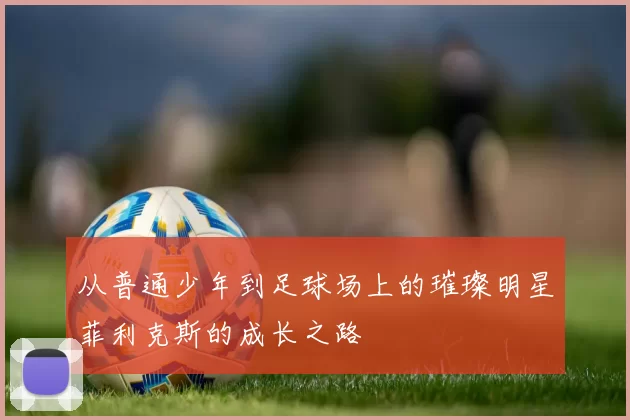 从普通少年到足球场上的璀璨明星菲利克斯的成长之路