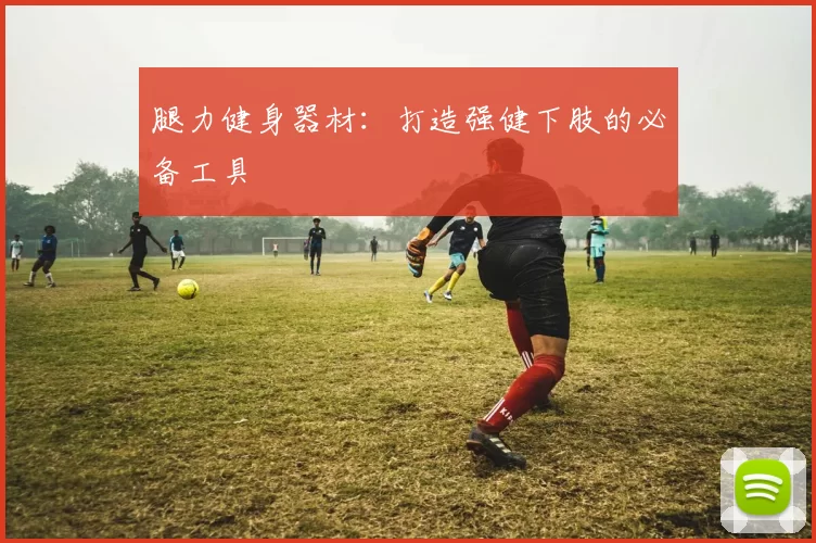 腿力健身器材：打造强健下肢的必备工具